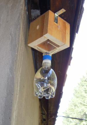 Carpenter Bee Trap, Small Version