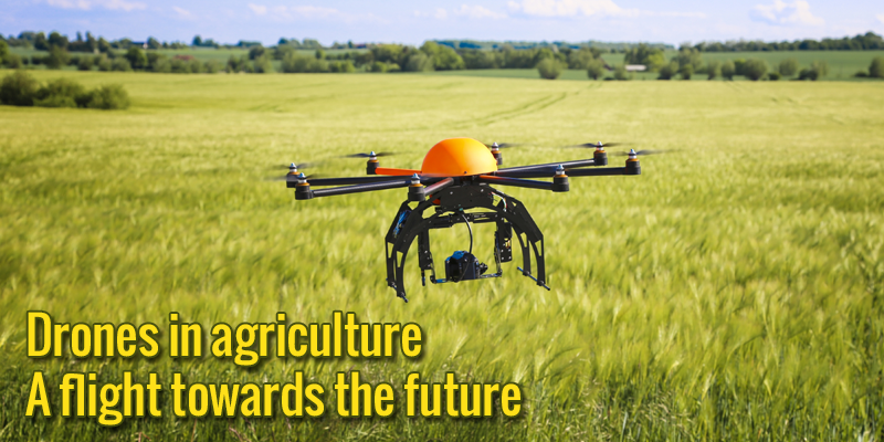 Advantages of Drones in Agriculture