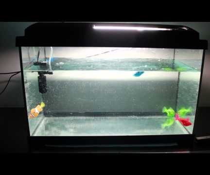 Robotic Fish Tank