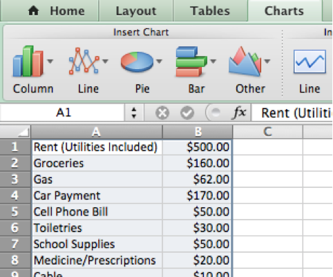 Creating a College Budget in Microsoft Excel