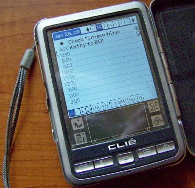 Crazy Palm PDA Screen