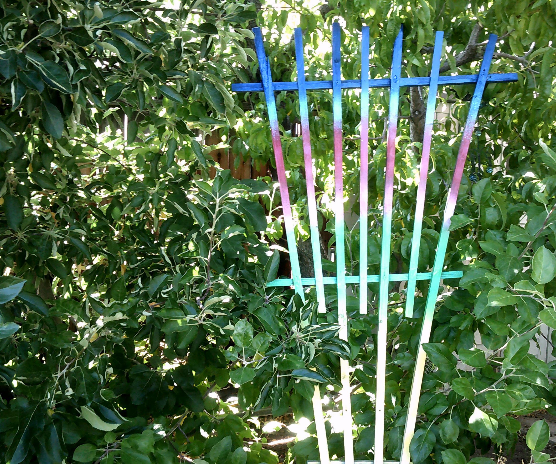 Garden Rainbow