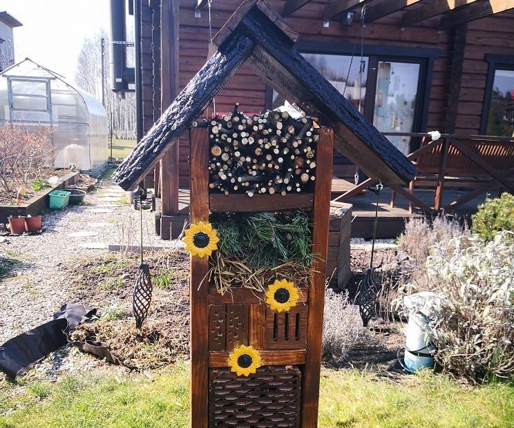 Bug House Build + a Timelapse Video