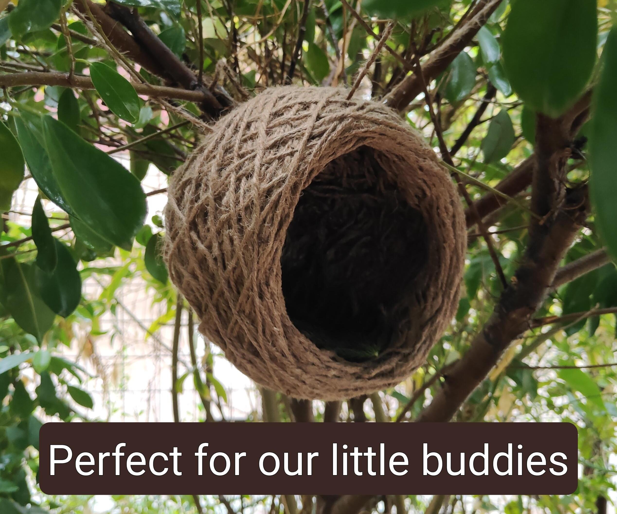 Bird's Nest From Jute Thread: Perfect Home for Our Little Buddies