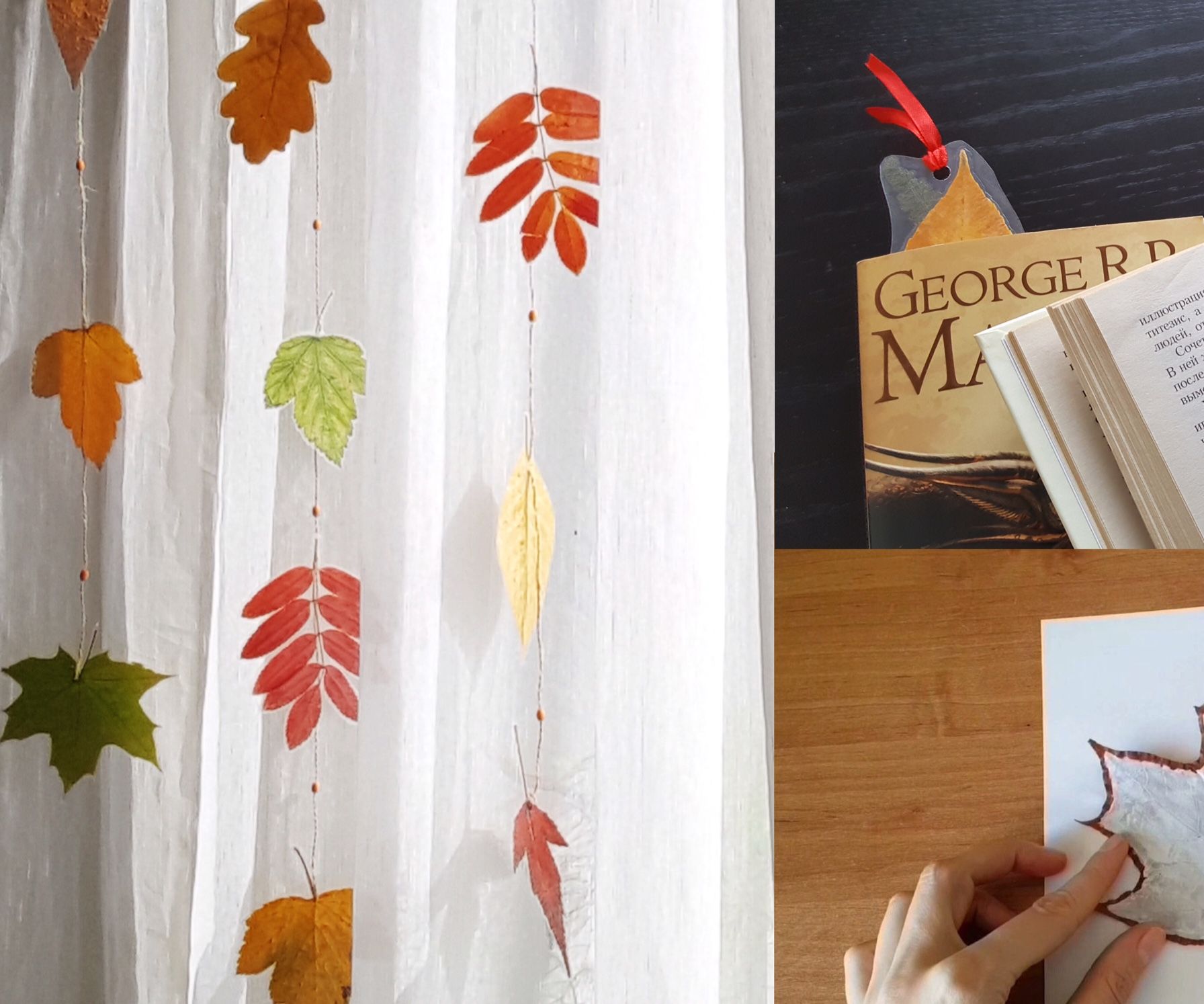 Laminated Leaves for Fall Crafts. No Laminator Needed