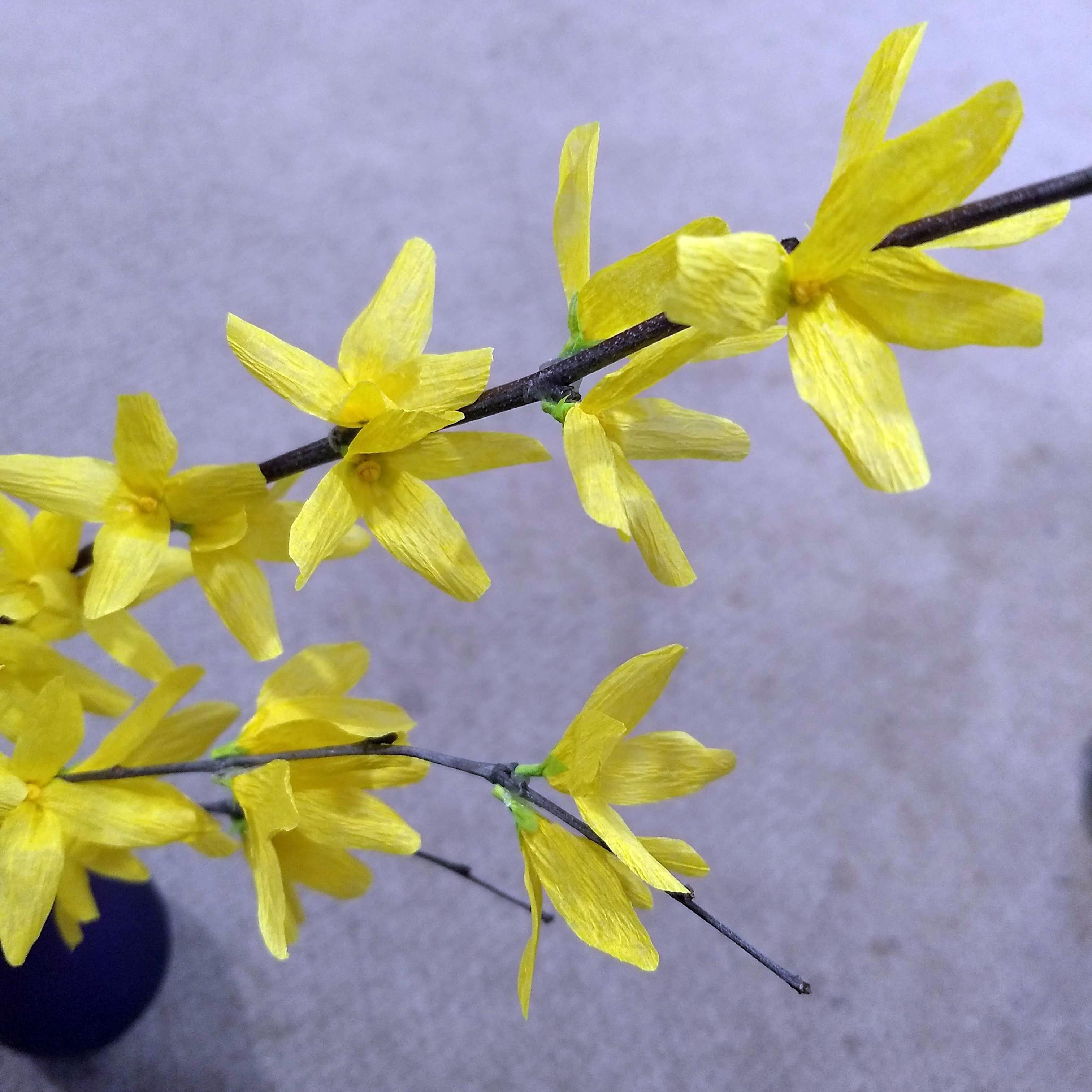 Crepe Paper Forsythia Branches