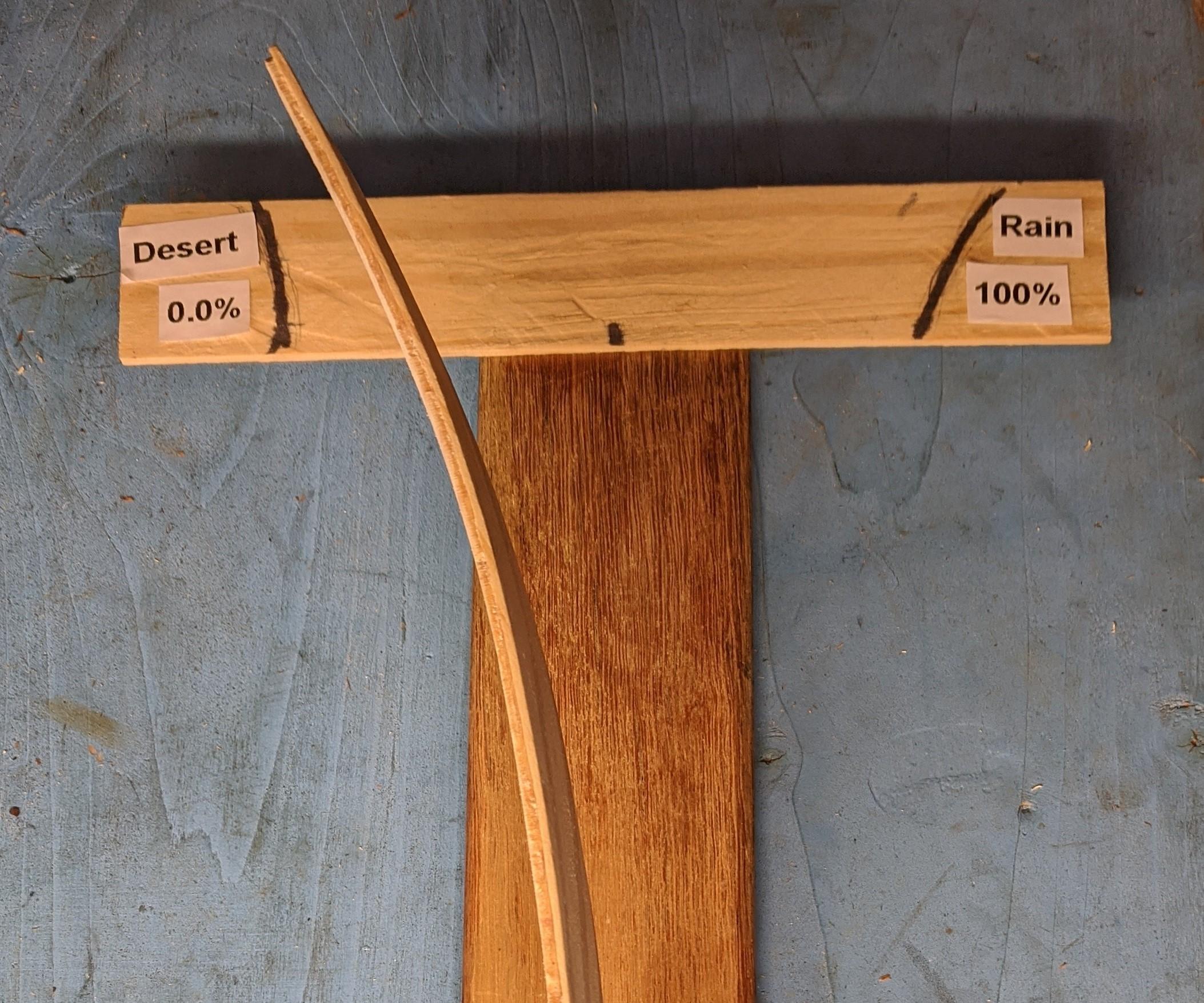 Humidity Gauge Made Out of Wood