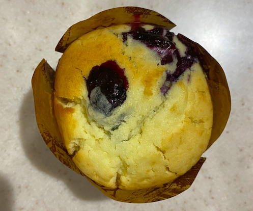 Blueberry Muffin Recipe