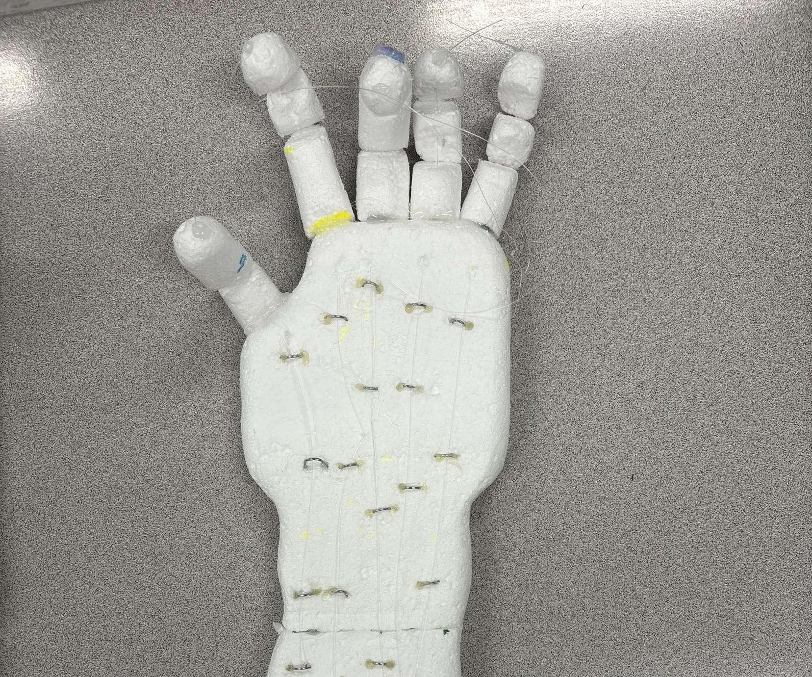 Robotic Hand Using Servos