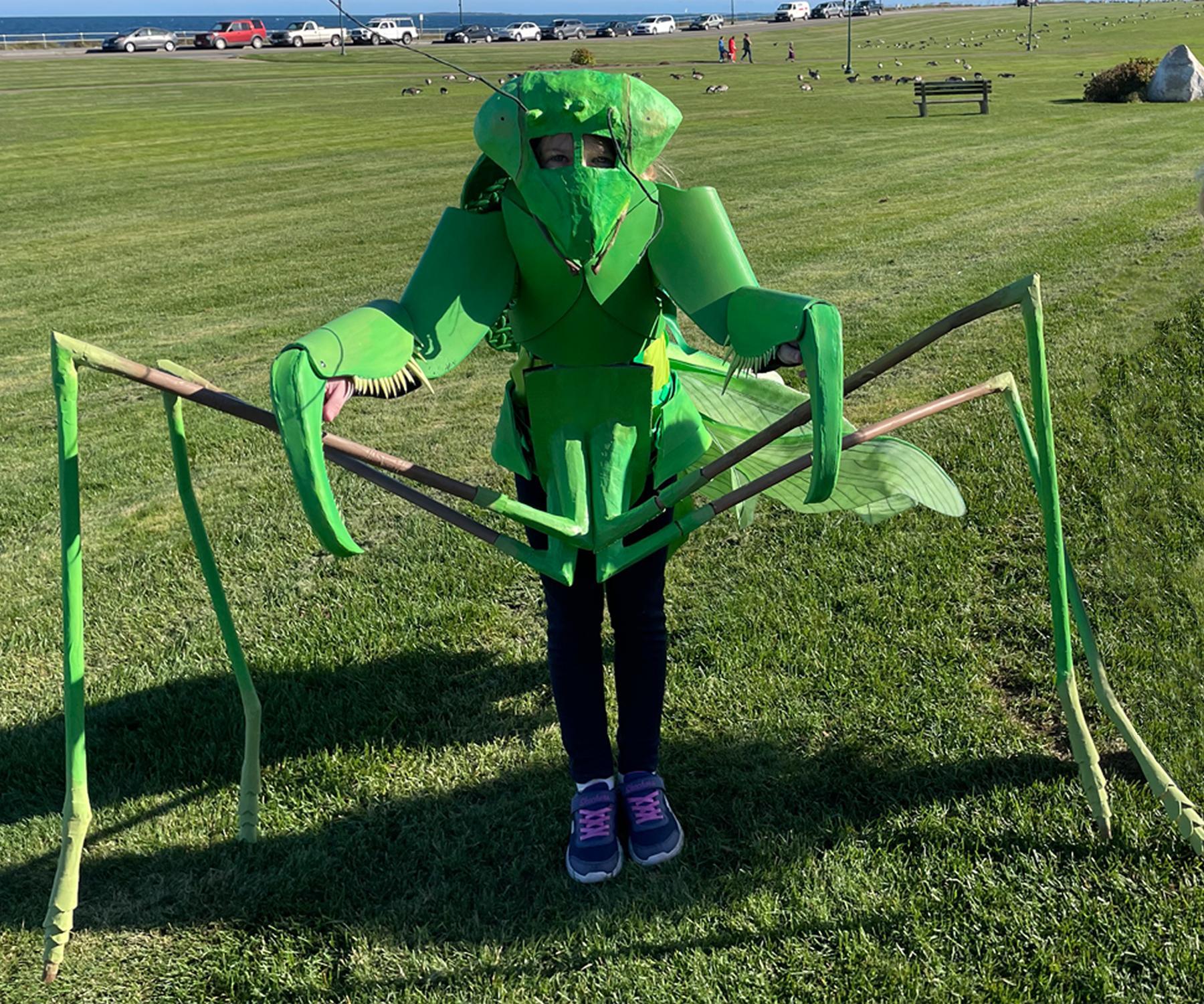 Praying Mantis Costume