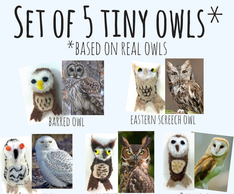 Set of 5 Tiny Owls (Based on Real Owls!)