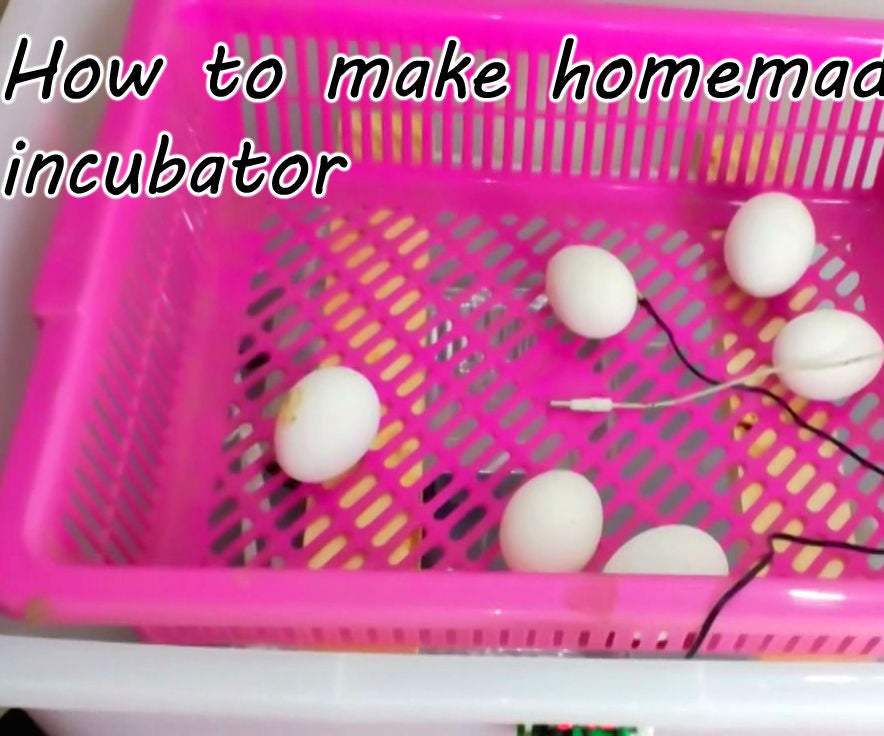 How to Make Homemade Incubator  |  Egg Hatcher at Home