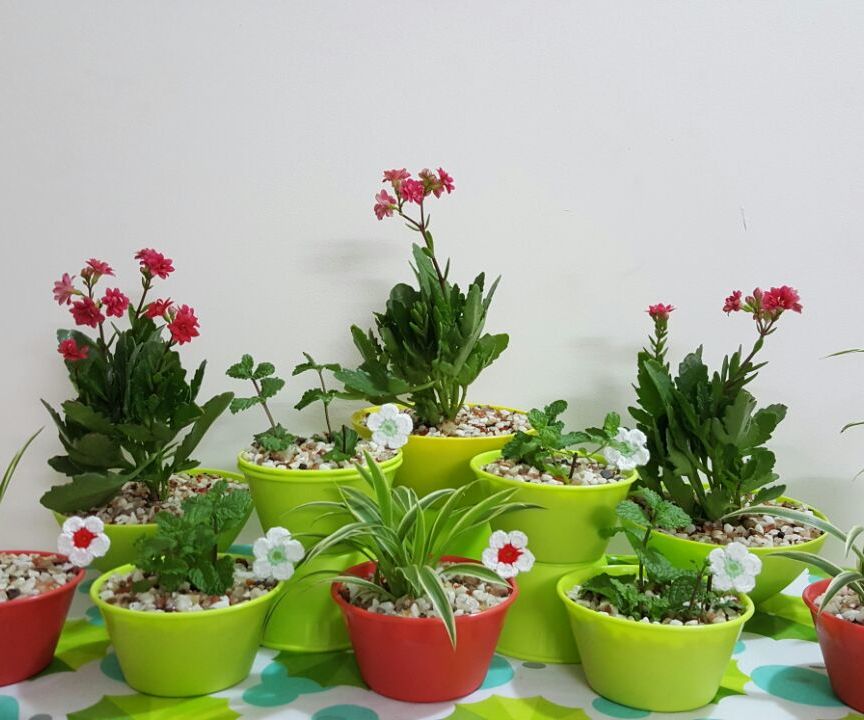 DIY Cute 'N' Little Indoor Plants 