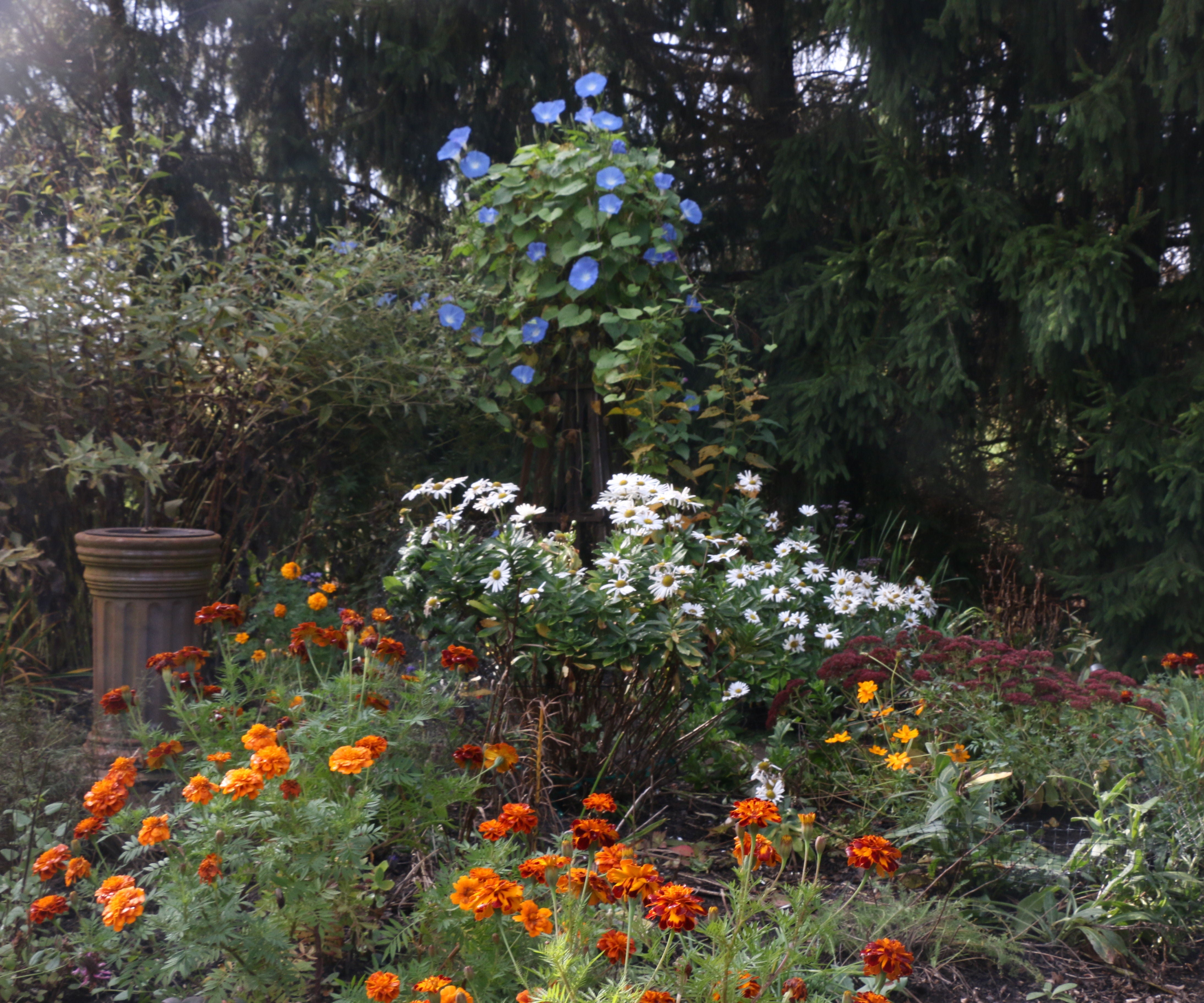 Garden Pyramid Trellis