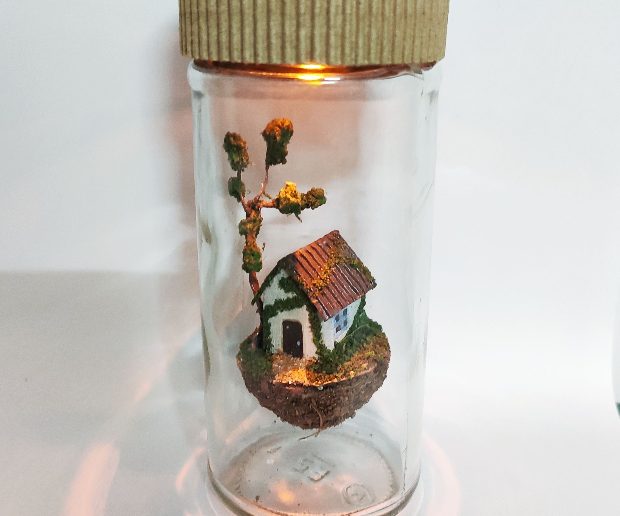 Miniature Floating House in a Bottle