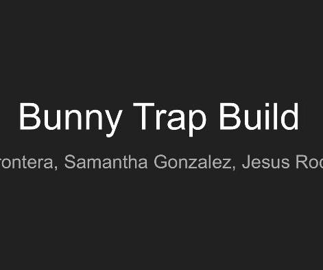 Bunny Trap