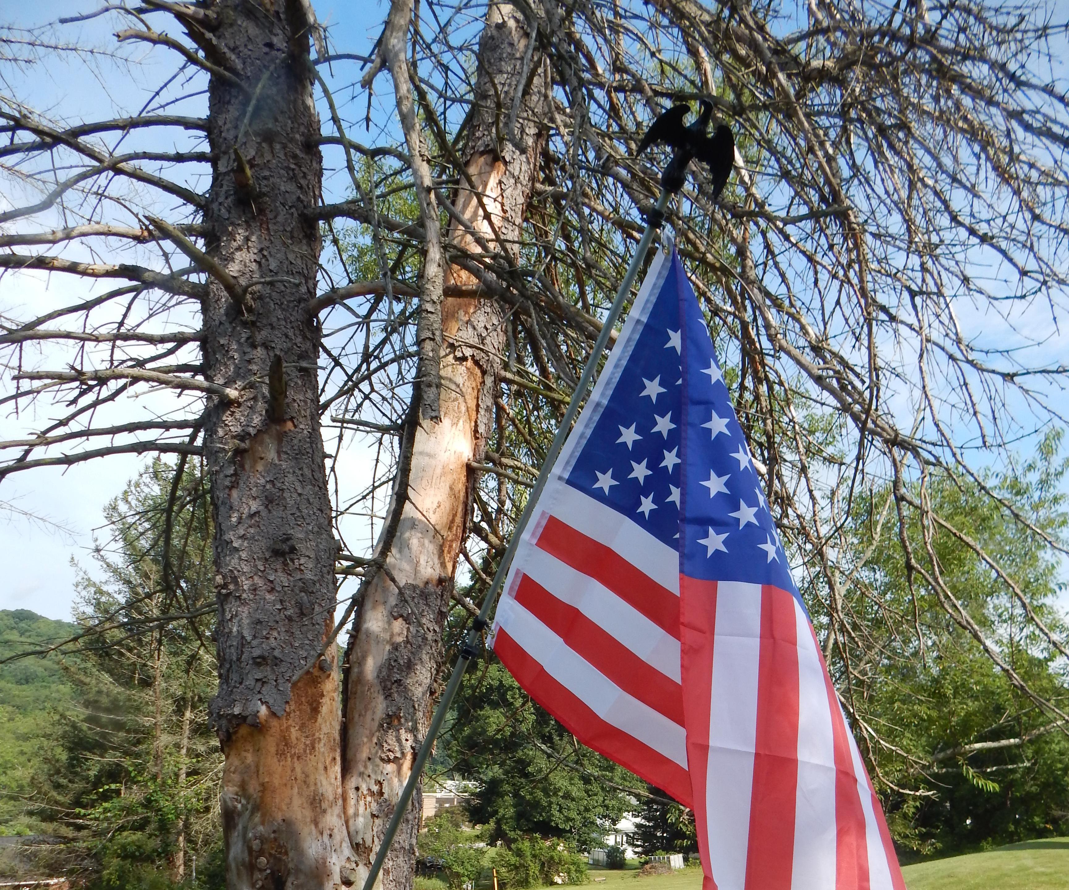 DIY Collapsible Flagpole Made From EMT Conduit