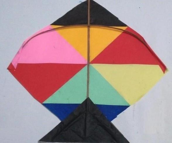 A Multi Color Premium Paper Kite