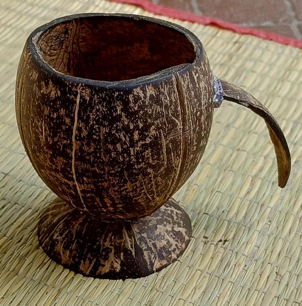 How to Recycle Discarded Coconut Shells