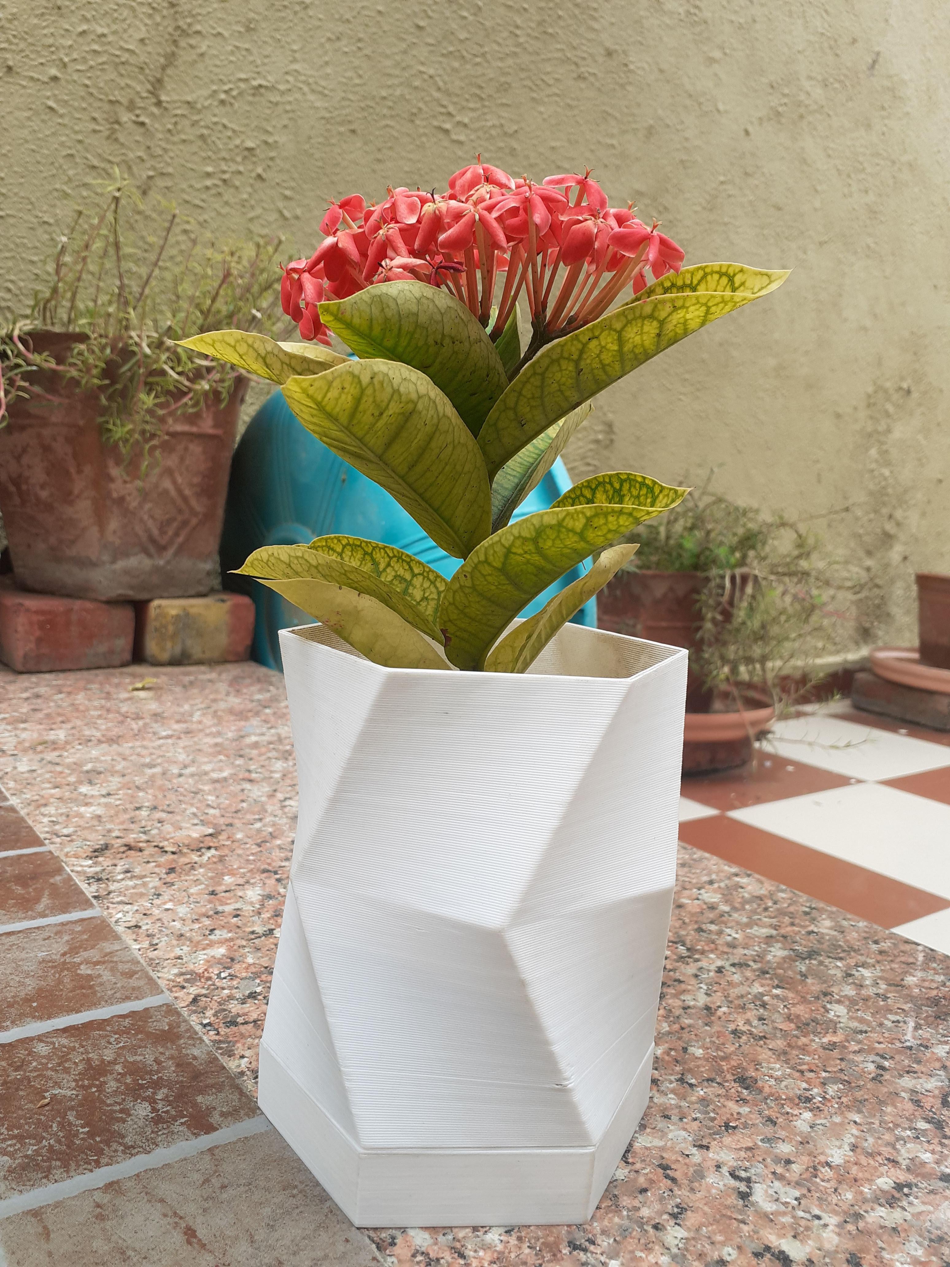 3D Printed Vase With Hidden Compartment