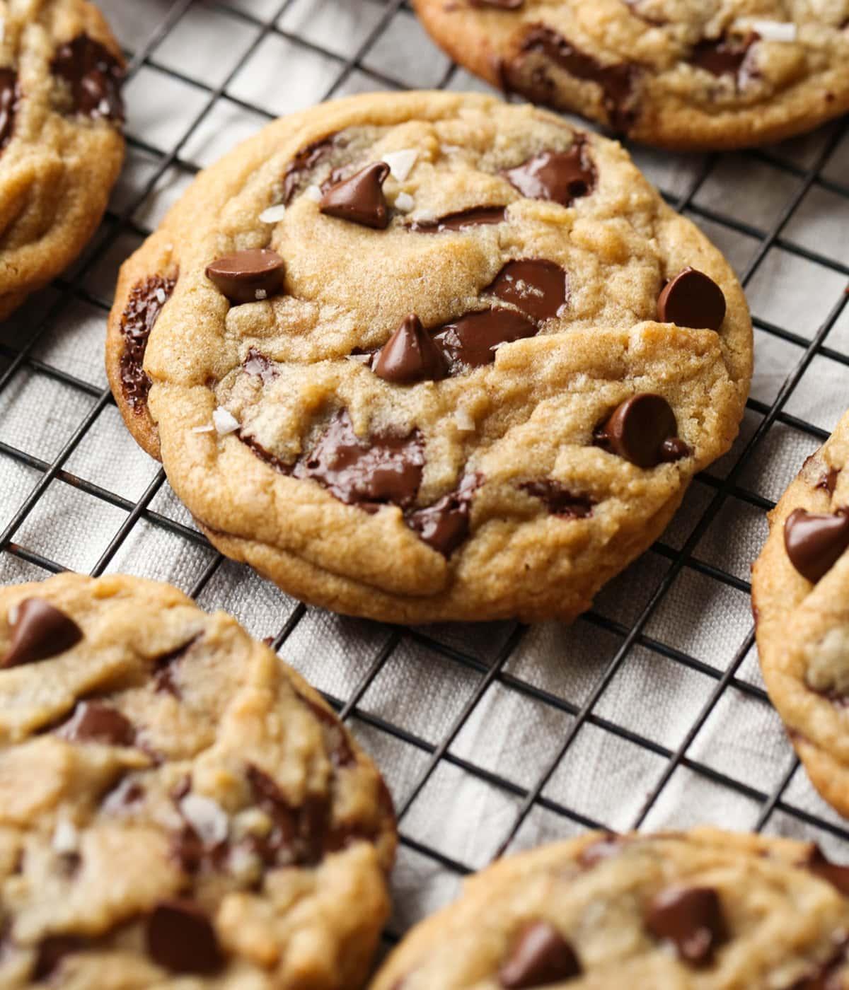 Brown Butter Chocolate Chip Cookies