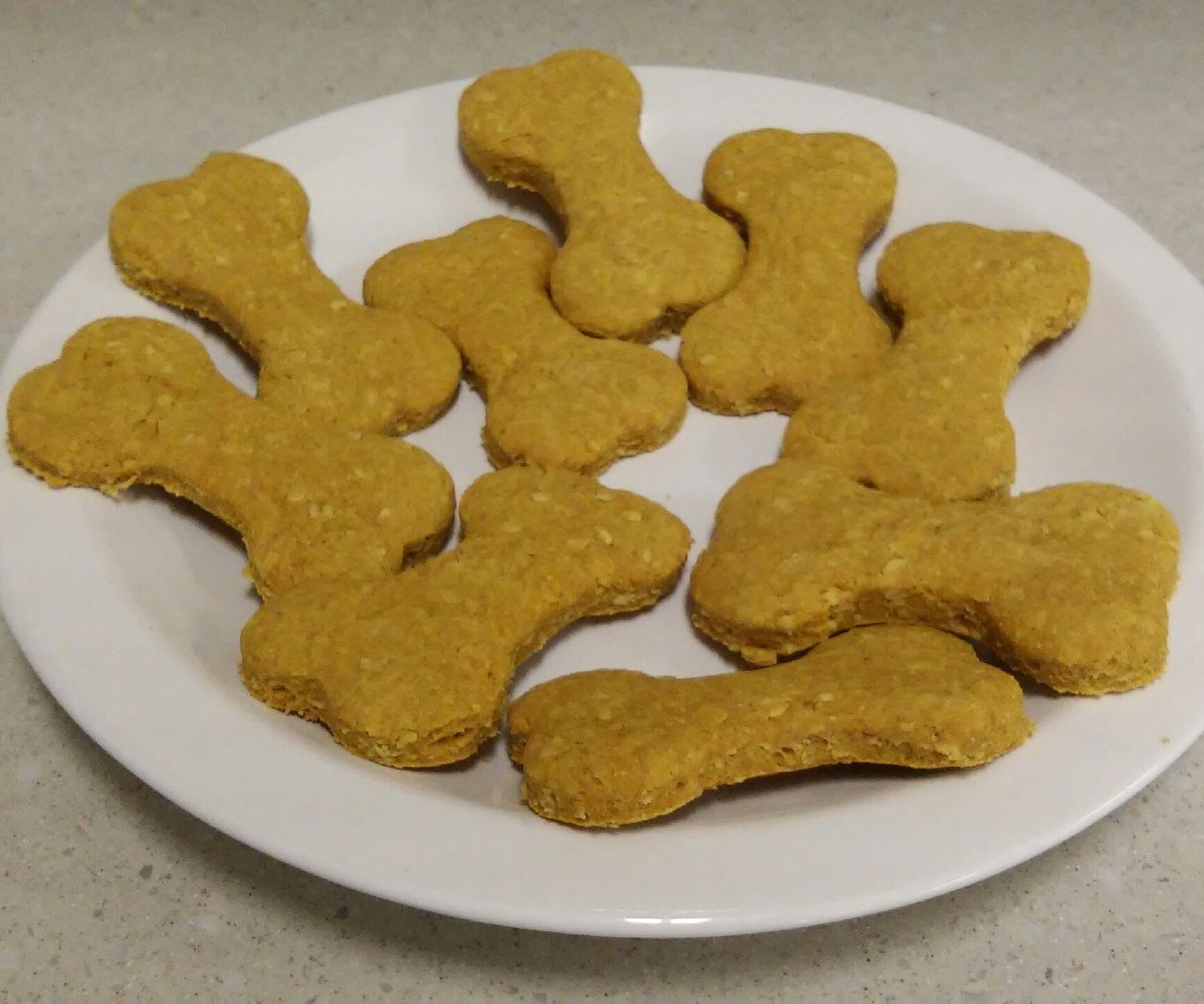 Dog Biscuits