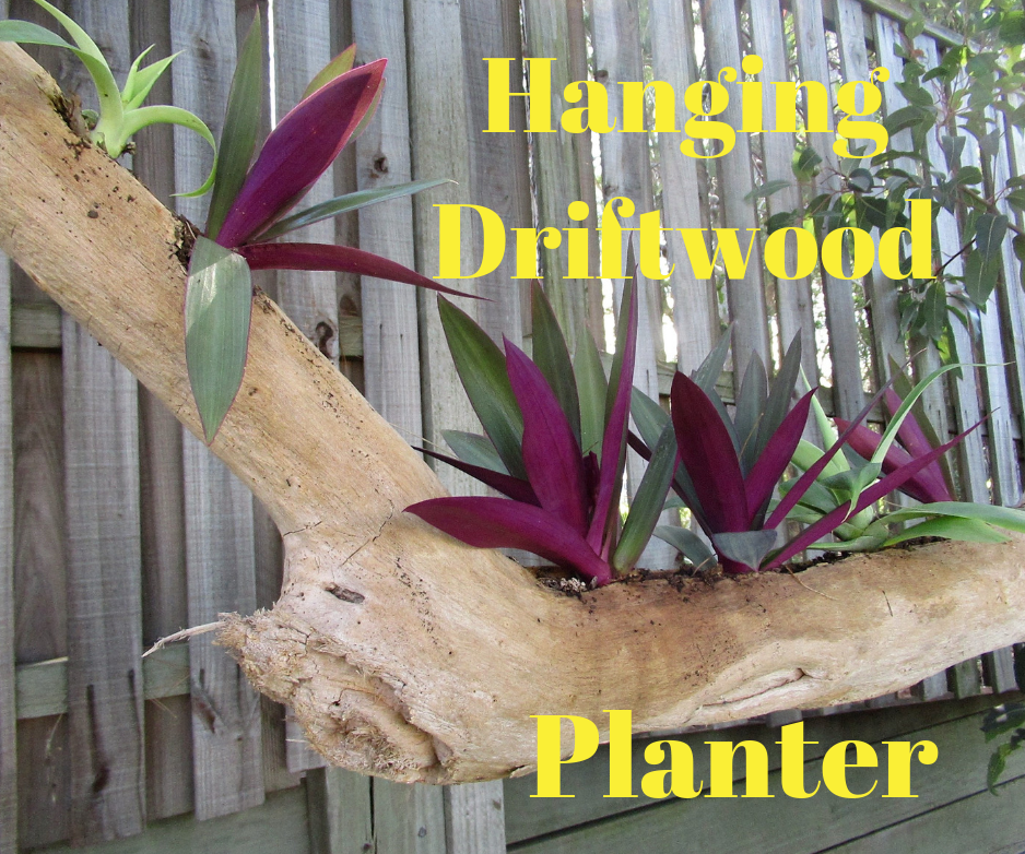 Hanging Driftwood Planter
