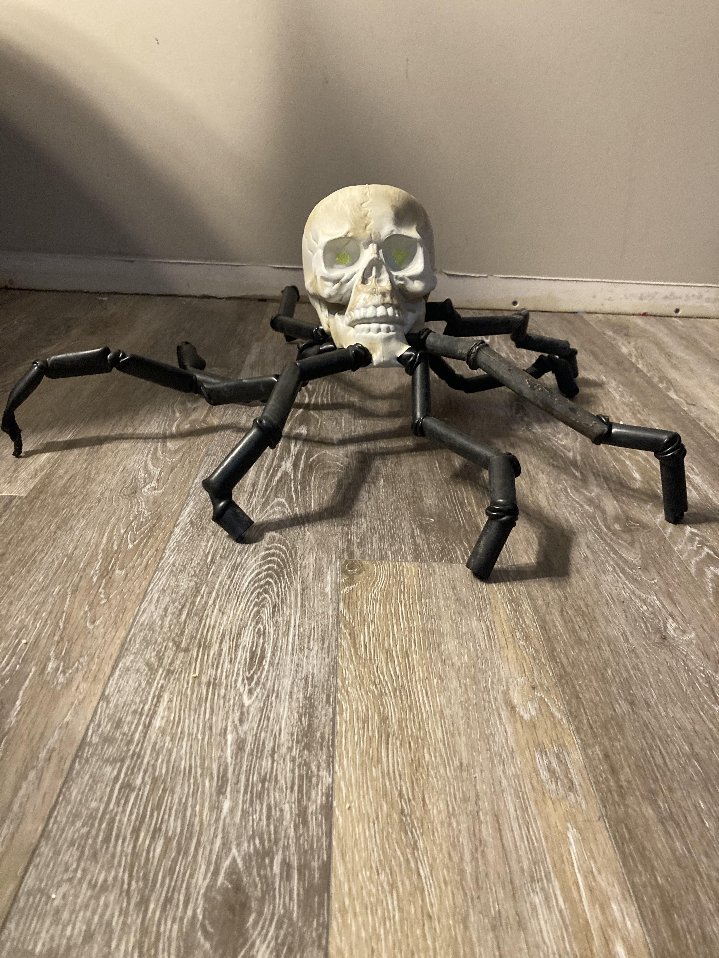 Skull Spider, Large