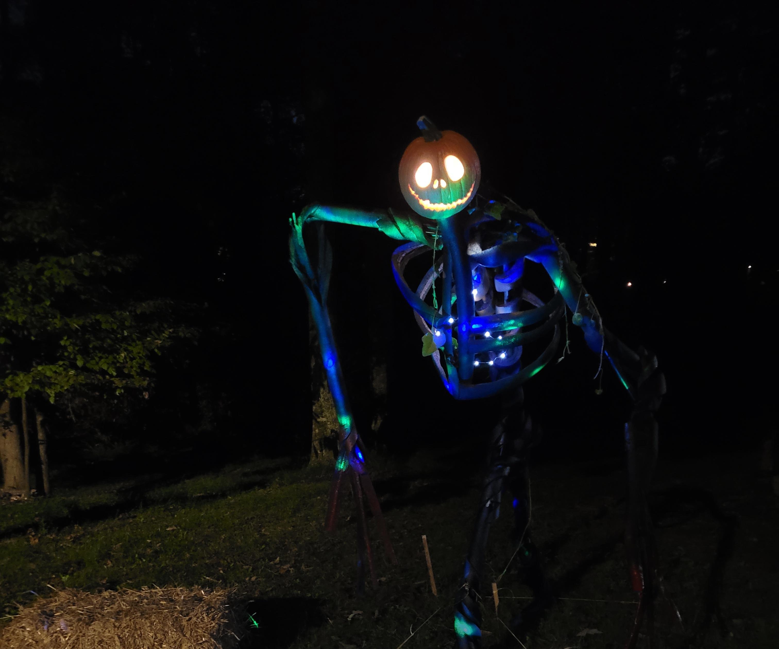 Pumpkin Skeleton From PVC and Pool Noodles