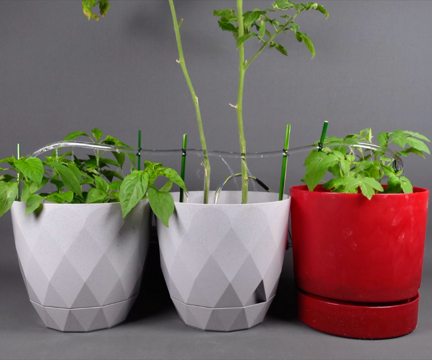 DIY Automatic Plant Watering System