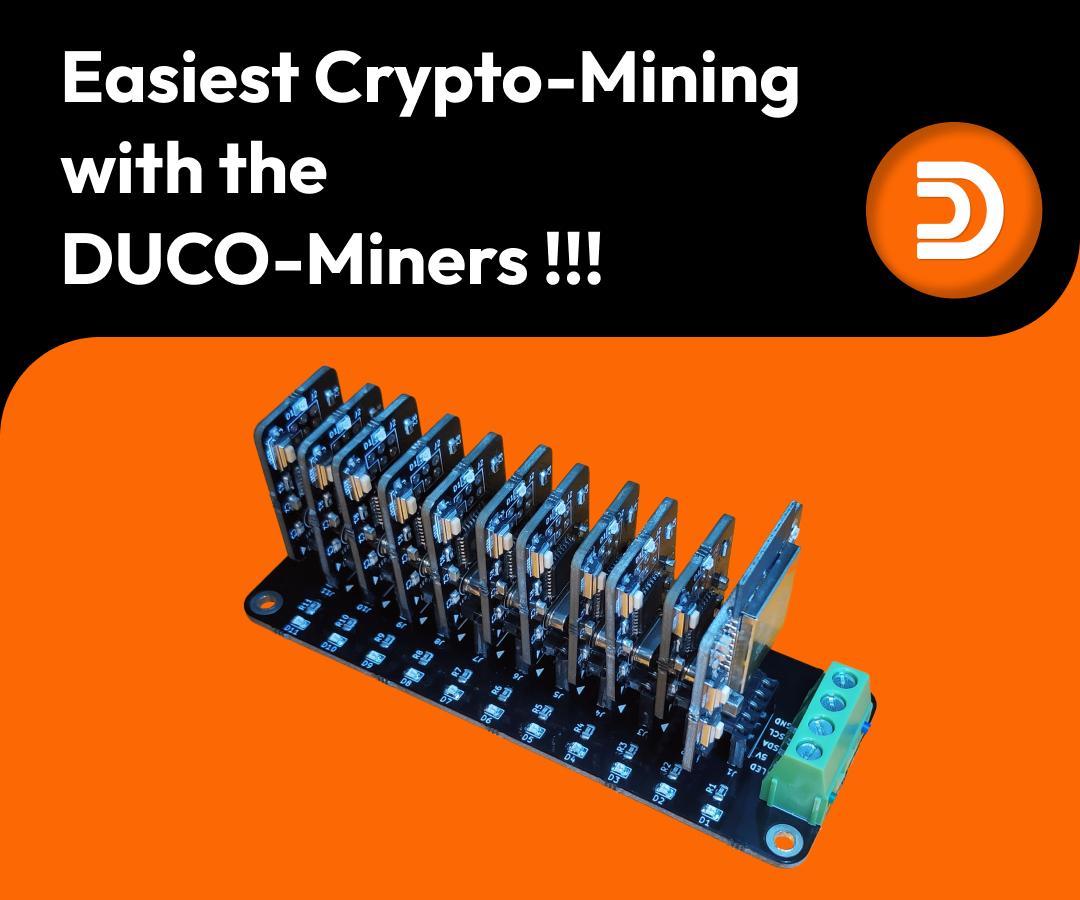 Crypto-Mining With the DUCO-Miners