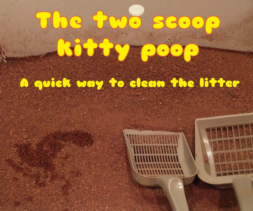 2 Scoop Kitty Poop Method - a Really Fast Way to Clean the Kitty Litter