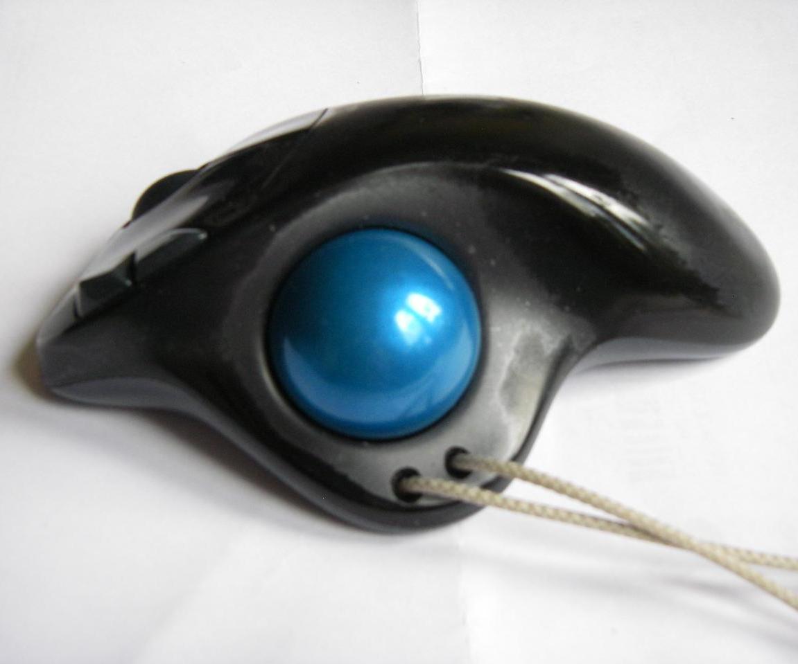 Trackball Lanyard