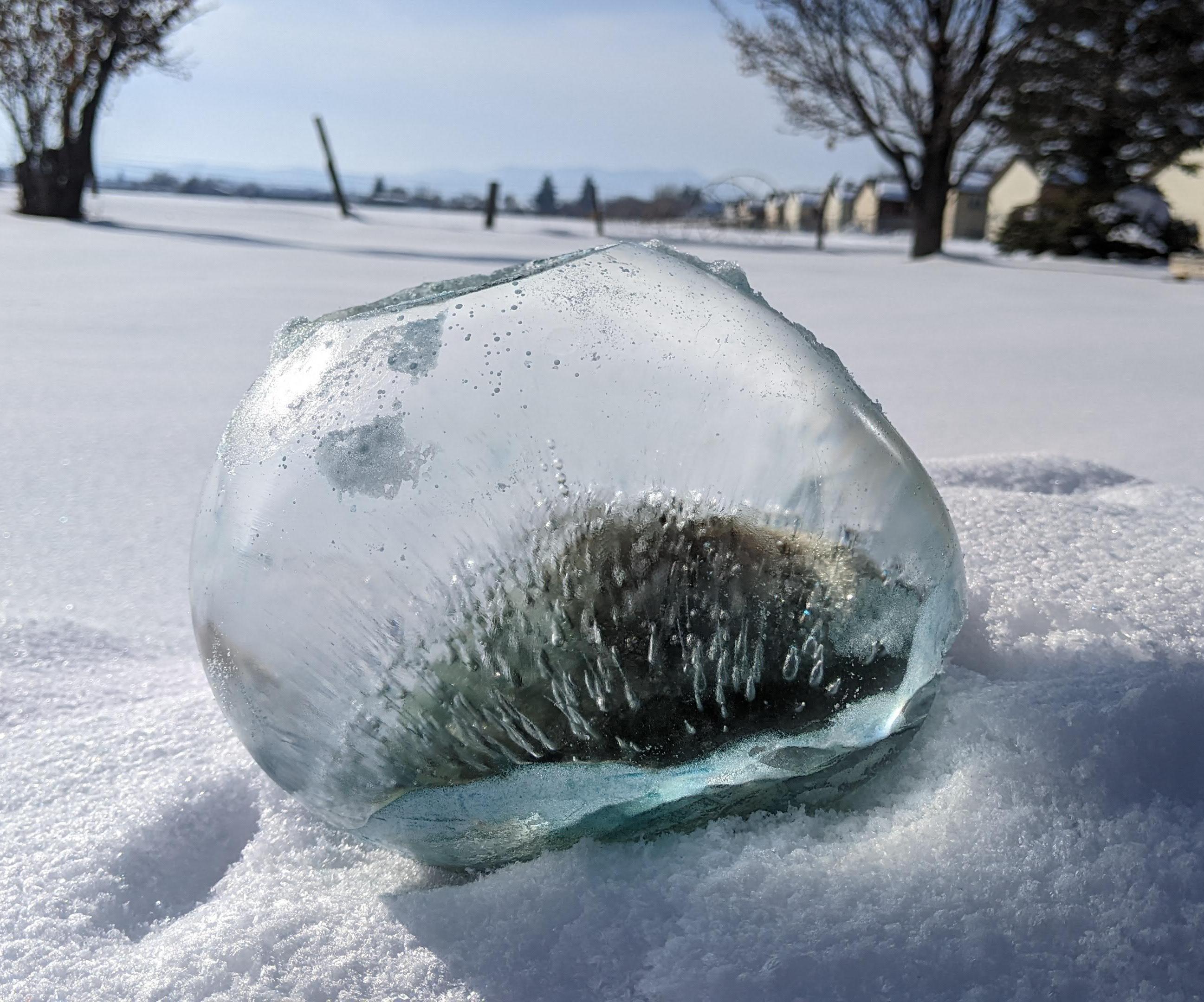 Colorful Frozen Ice Balls