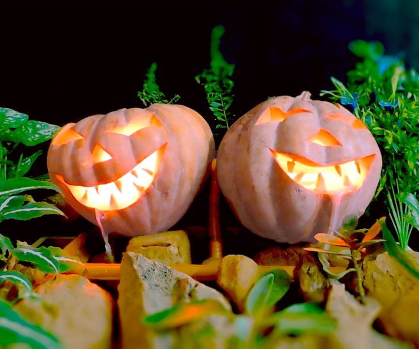 DIY Halloween Fountain