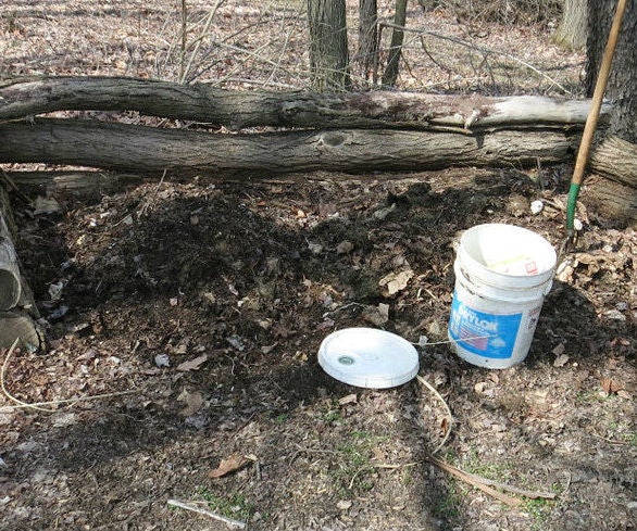 Bucket for Gardening - Banana Peels to Butterflies