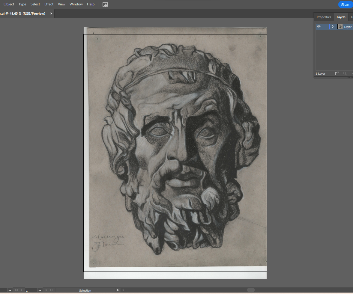 Art Digitalization Manual for Adobe Illustrator 2023