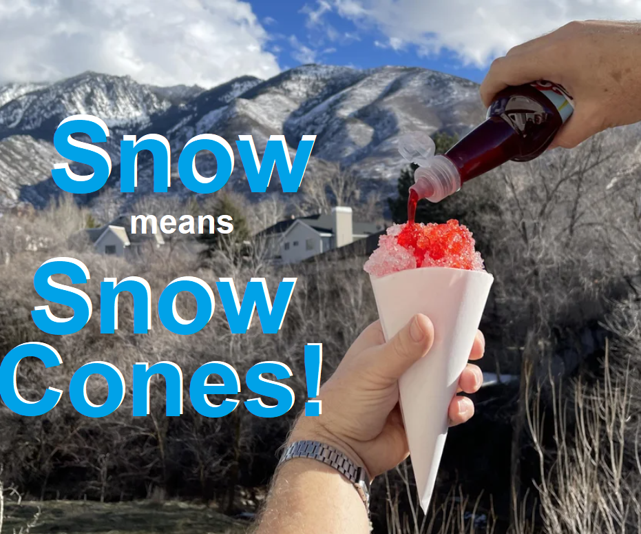 SNOW = Snow Cones & DIY Syrups
