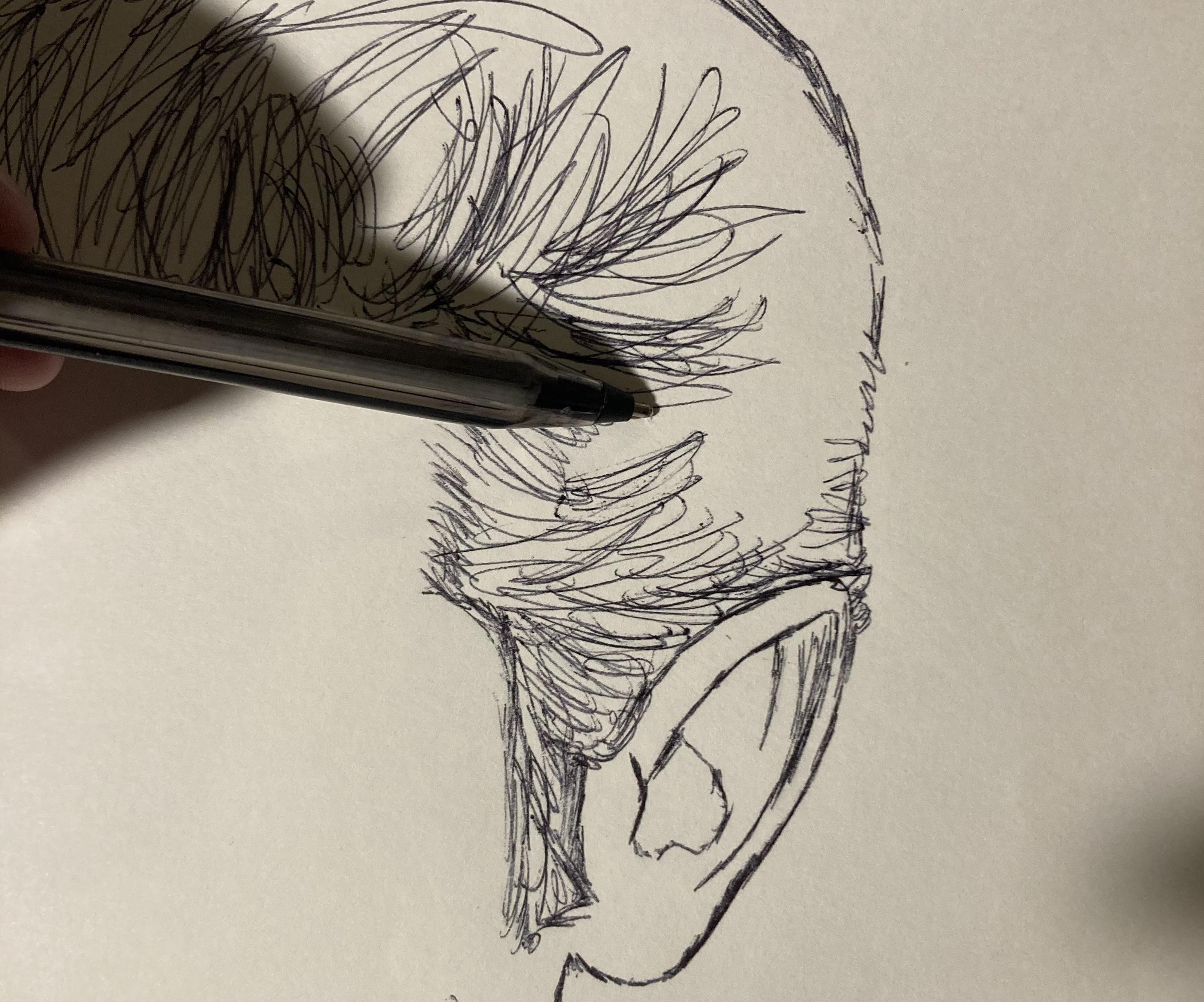 How to Sketch a Free-hand Portrait Using a Reference