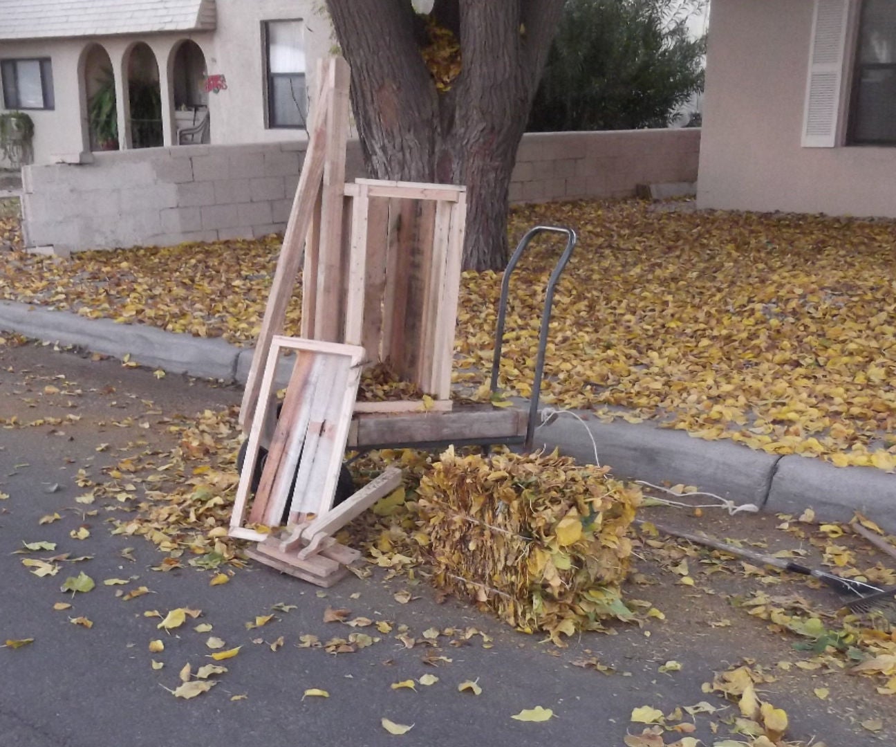 Baling Fall Leaves