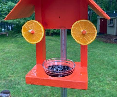 Baltimore Oriole Feeder