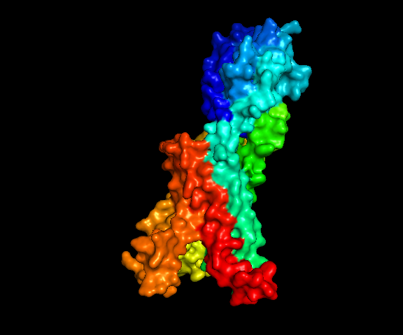 How to 3D Print a Molecular Model