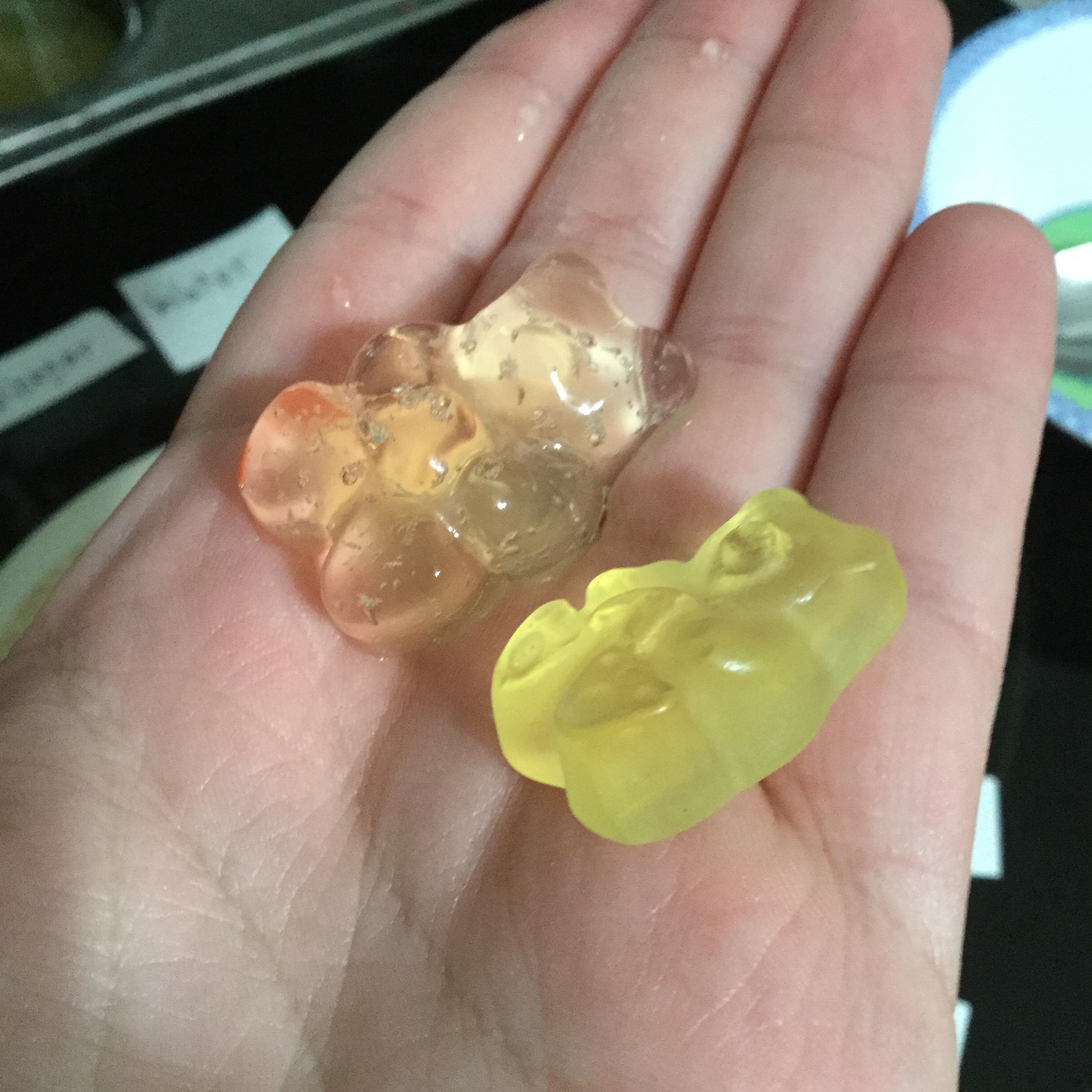 Gummi Bear Science 