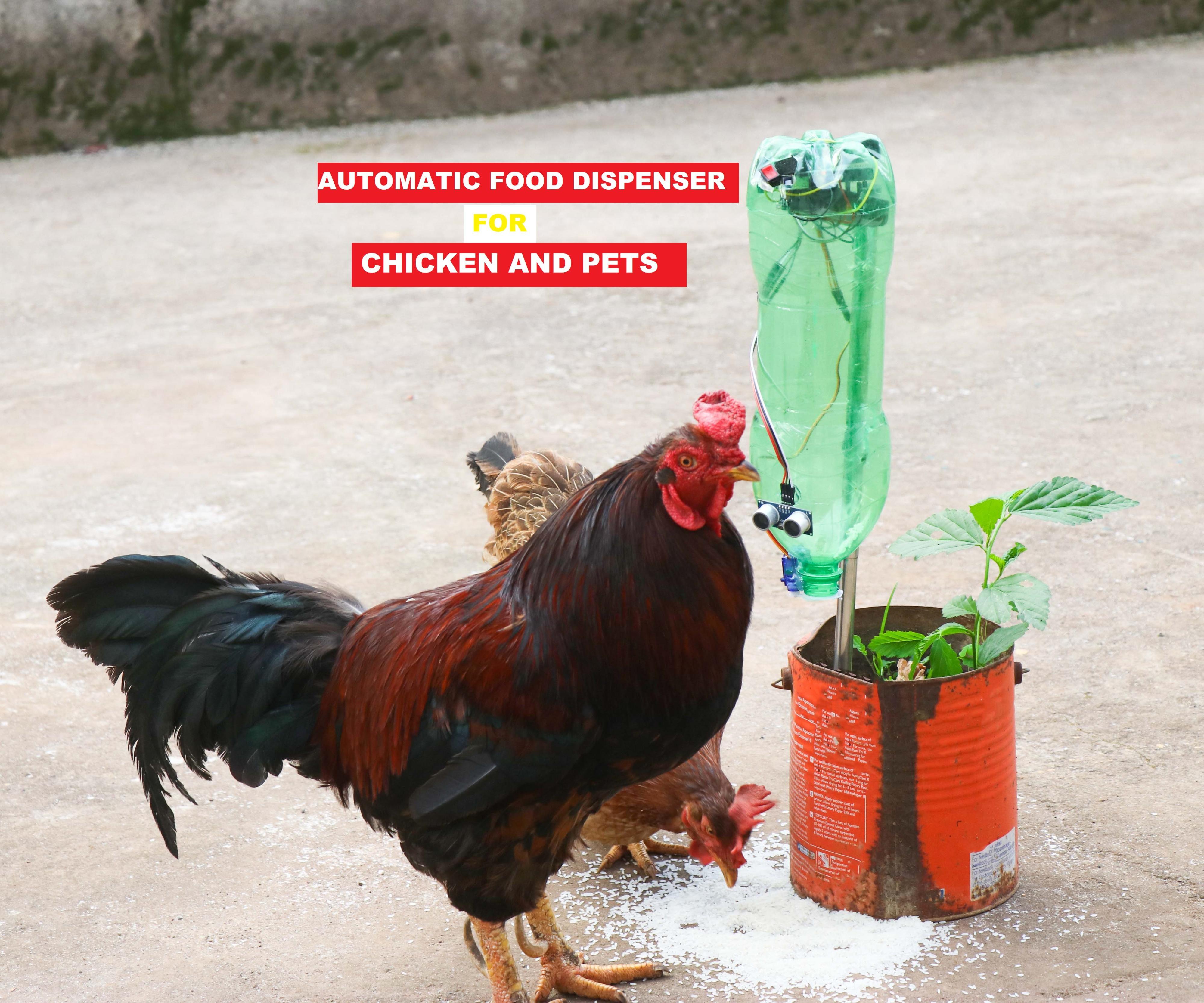 DIY Automatic Food Dispenser for Chickens and Pets