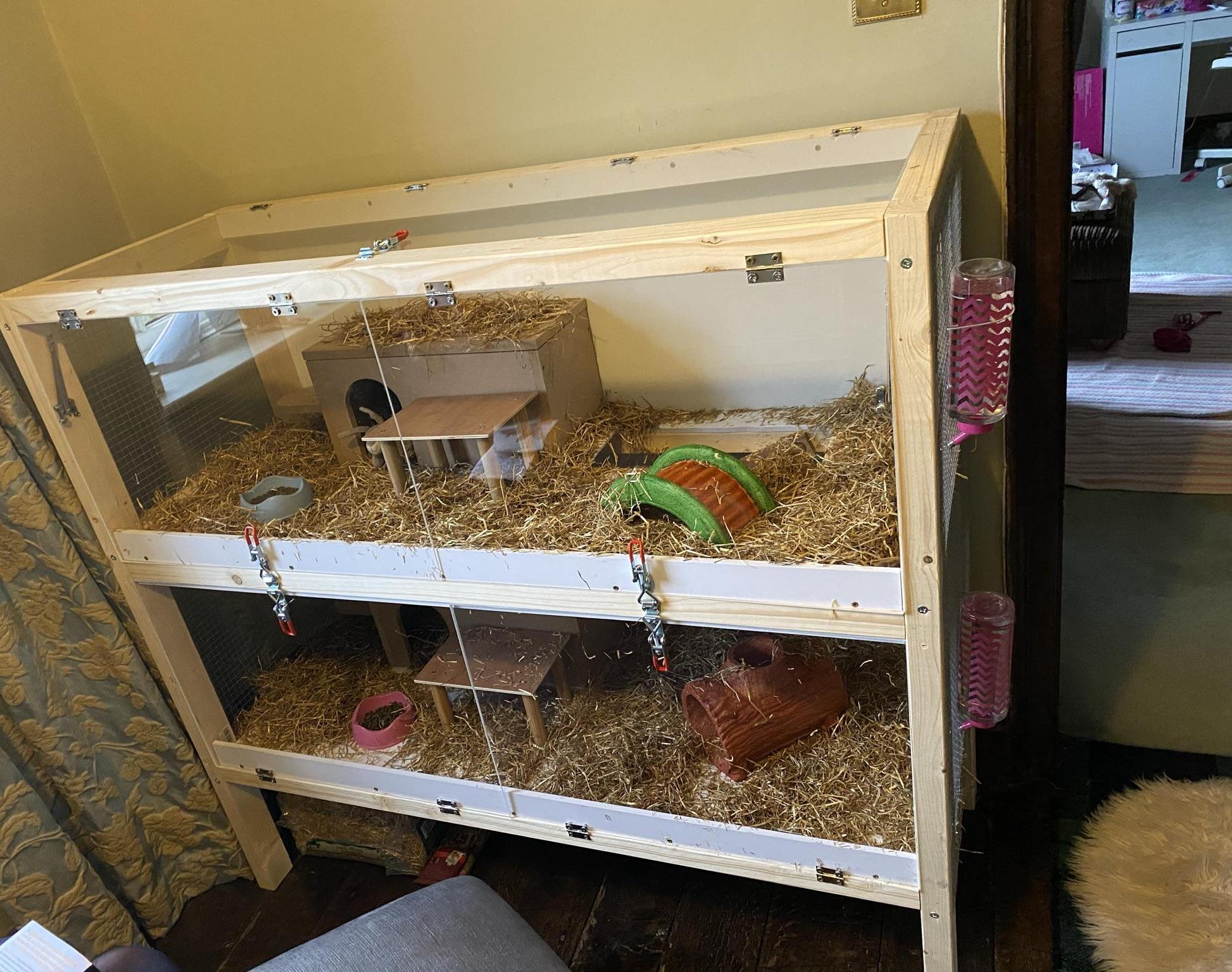 Two Level Indoor Rabbit Hutch