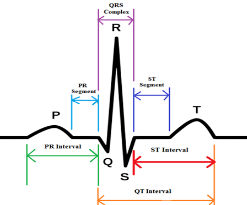 Introduction to Functional ECG Circuit