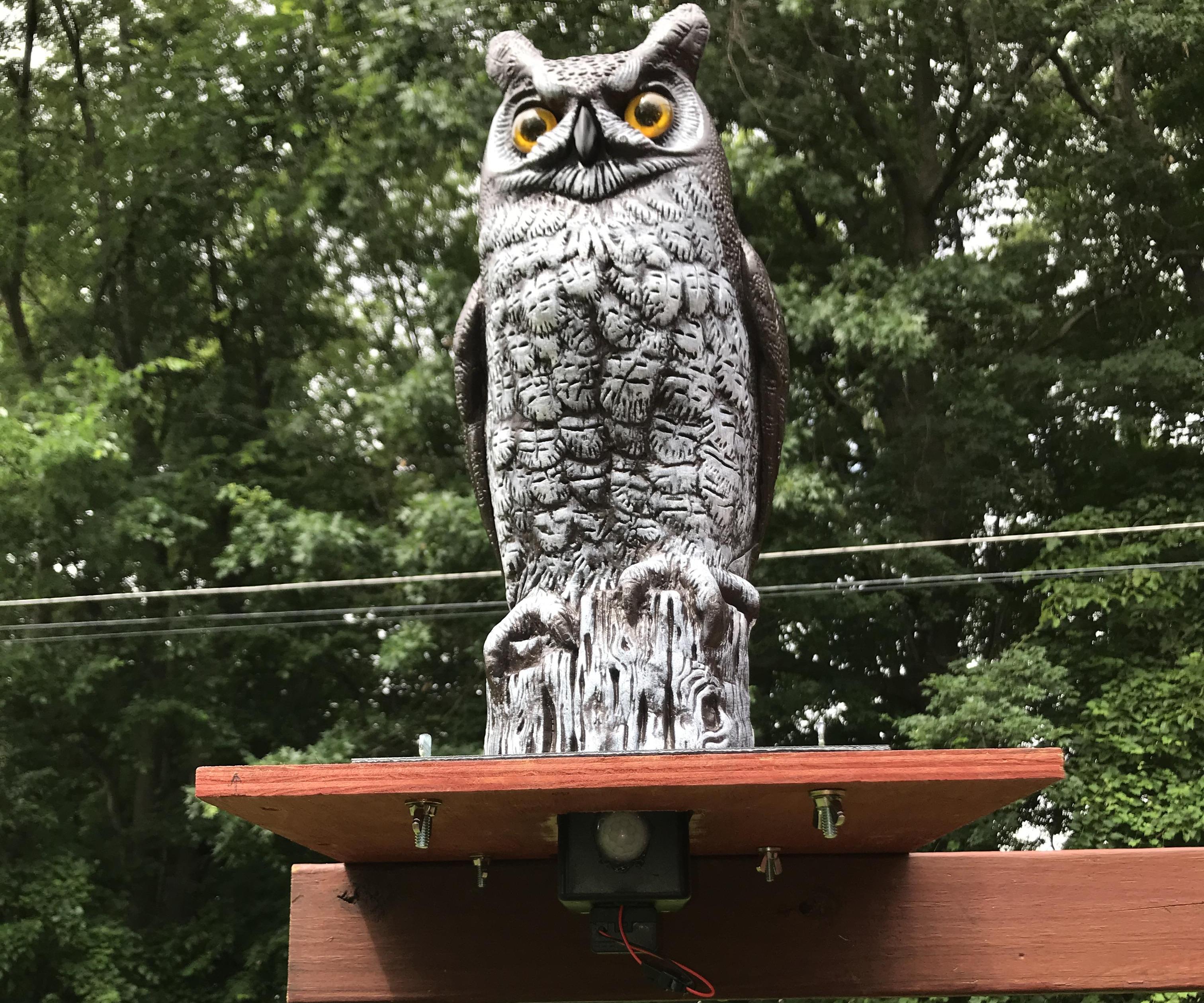 Automated Garden Owl Scarecrow