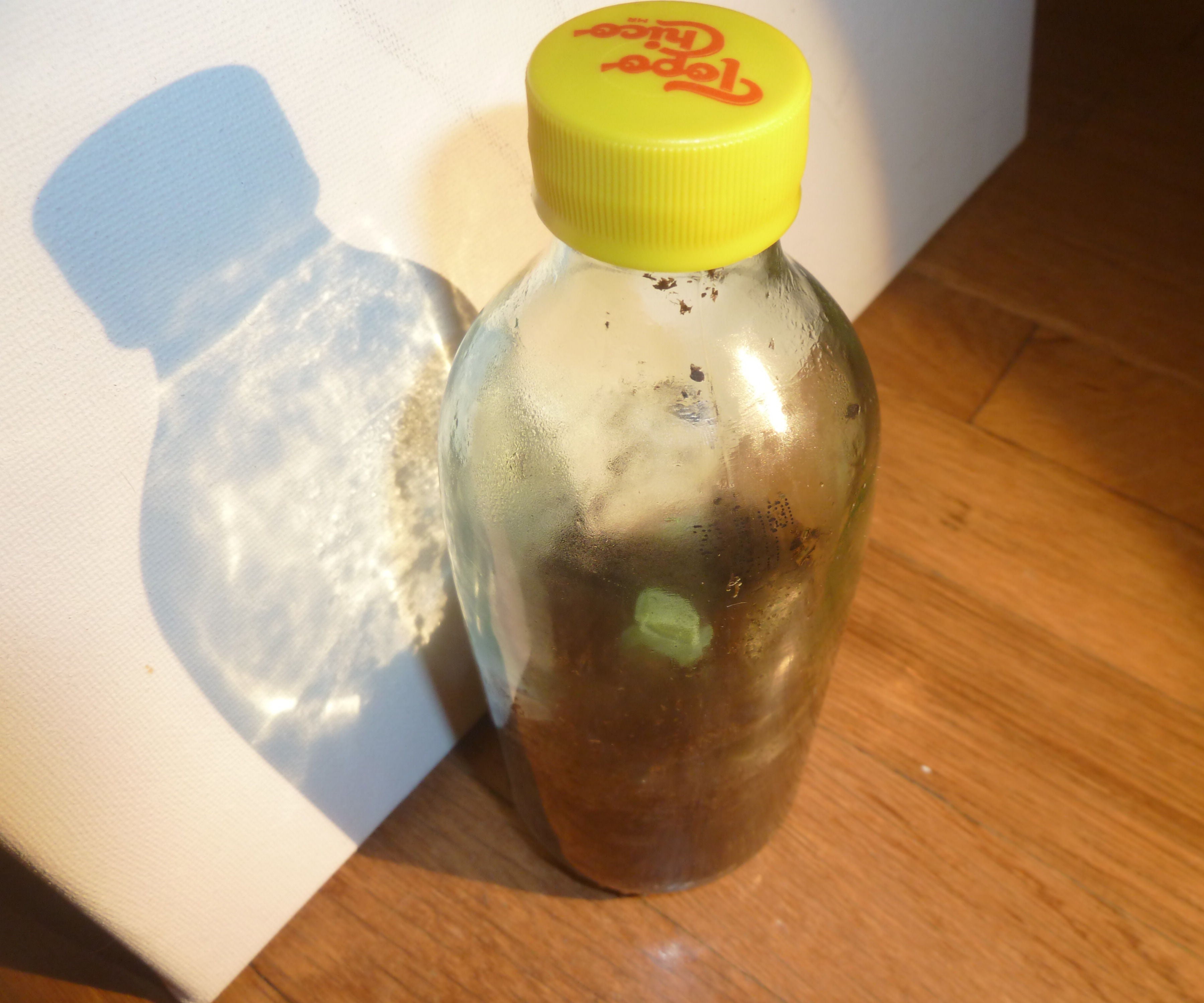 How to Make a Terrarium Out of a Recycled Topo Chico Bottle