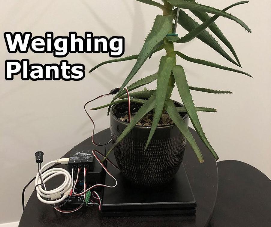 Weighing Plants