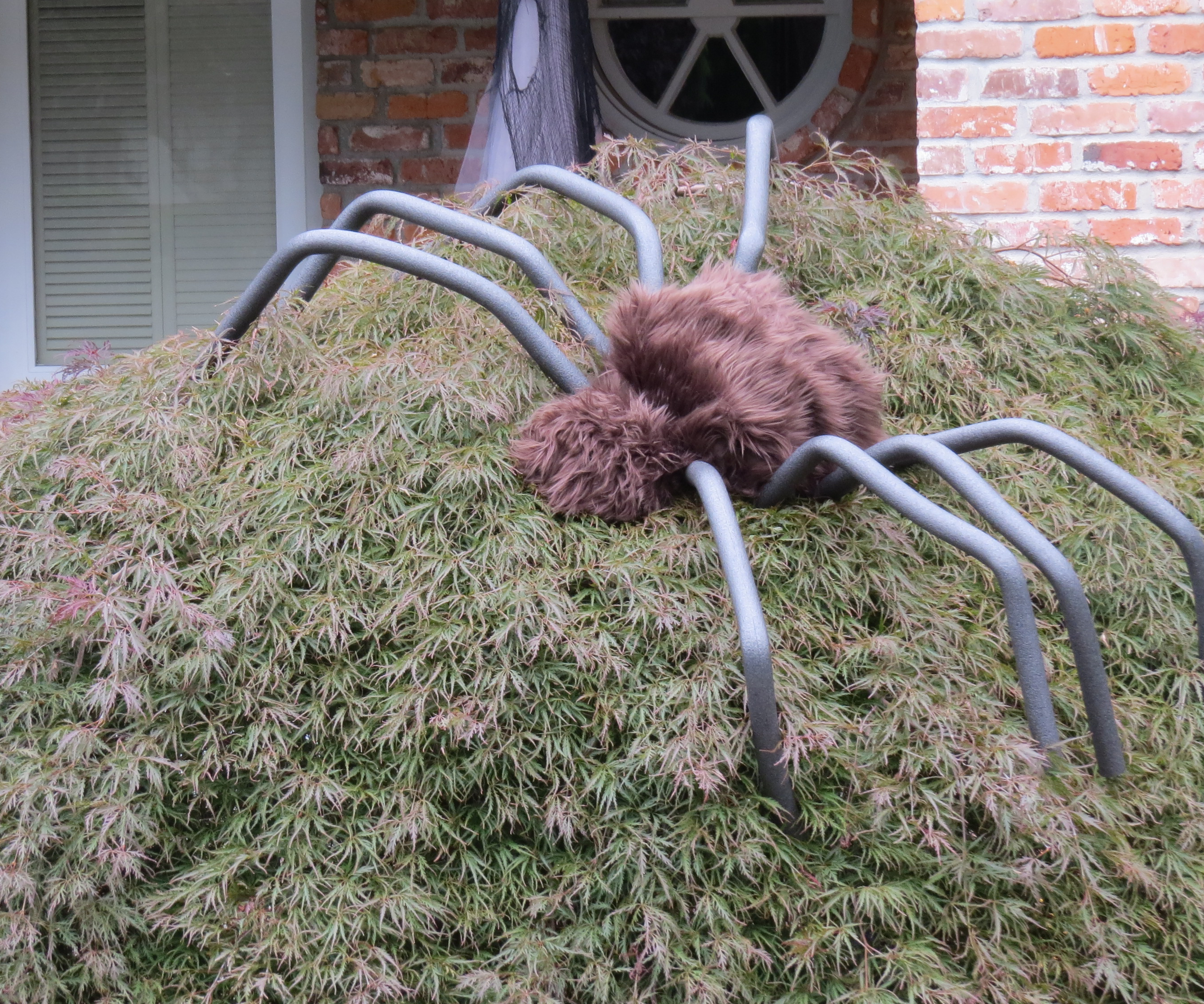 Six-Foot Wide Spider Decorations!